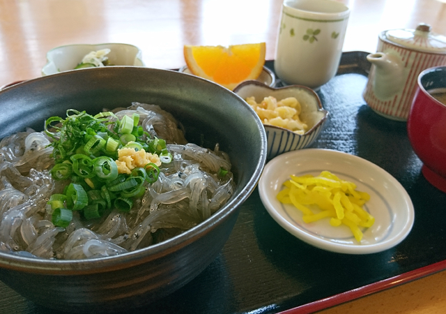 生しらす丼定食