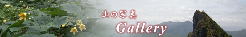 山の写真 Gallery