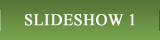 SLIDESHOW 1