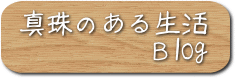 真珠のある生活とは・パールアートブログ