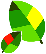 プリンのさんぽみち 葉っぱ写真