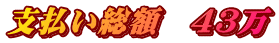 支払い総額　43万