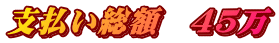 支払い総額　45万